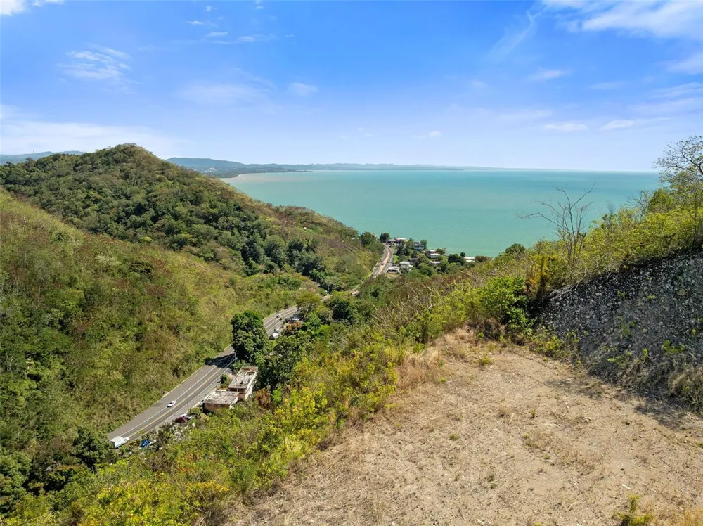 ROAD 115 Anasco, PR 00610