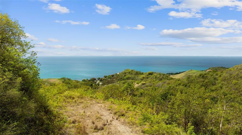 ROAD 115 Anasco, PR 00610