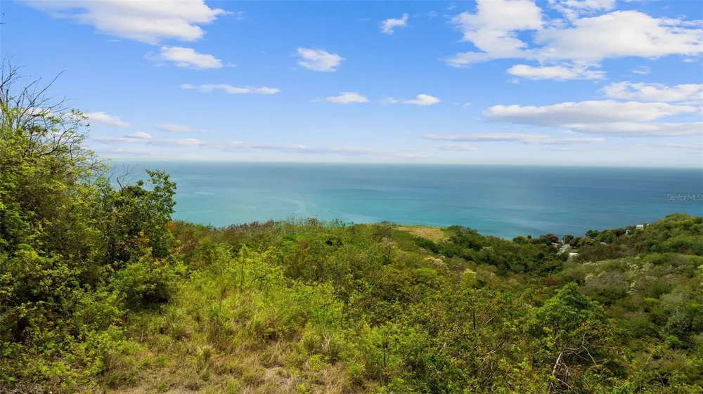 ROAD 115 Anasco, PR 00610