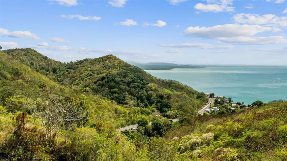 ROAD 115 Anasco, PR 00610