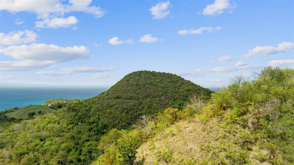 ROAD 115 Anasco, PR 00610