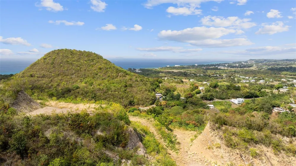 ROAD 115 Anasco, PR 00610