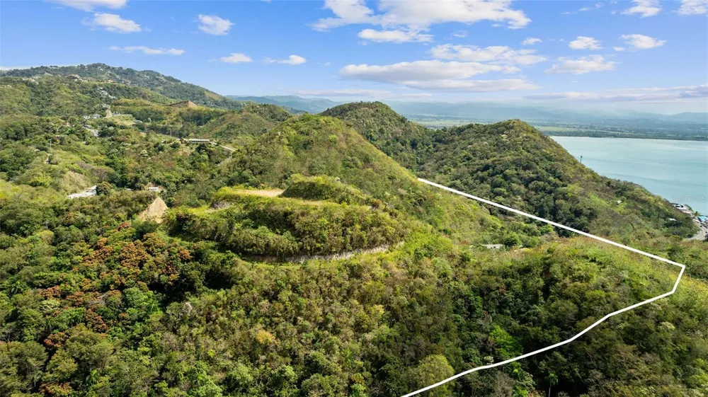 ROAD 115 Anasco, PR 00610