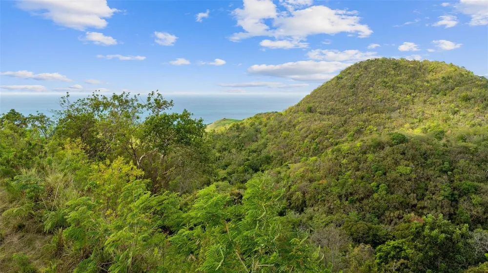 ROAD 115 Anasco, PR 00610