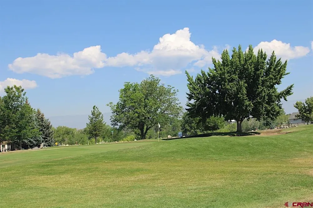 950 SE Deer Creek Drive Cedaredge, CO 81413