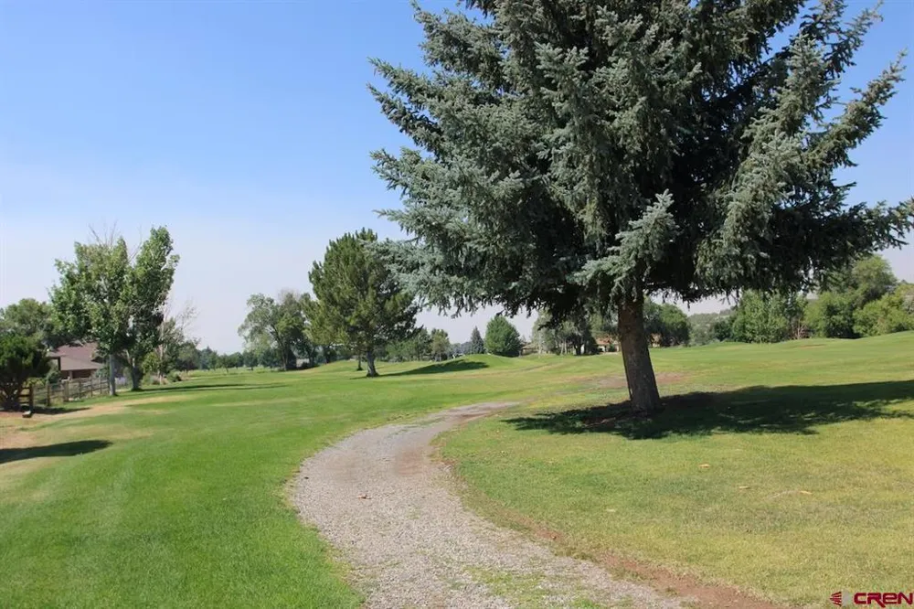 950 SE Deer Creek Drive Cedaredge, CO 81413