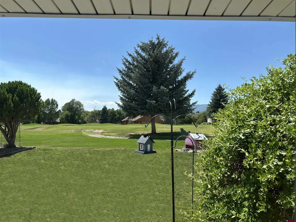 950 SE Deer Creek Drive Cedaredge, CO 81413
