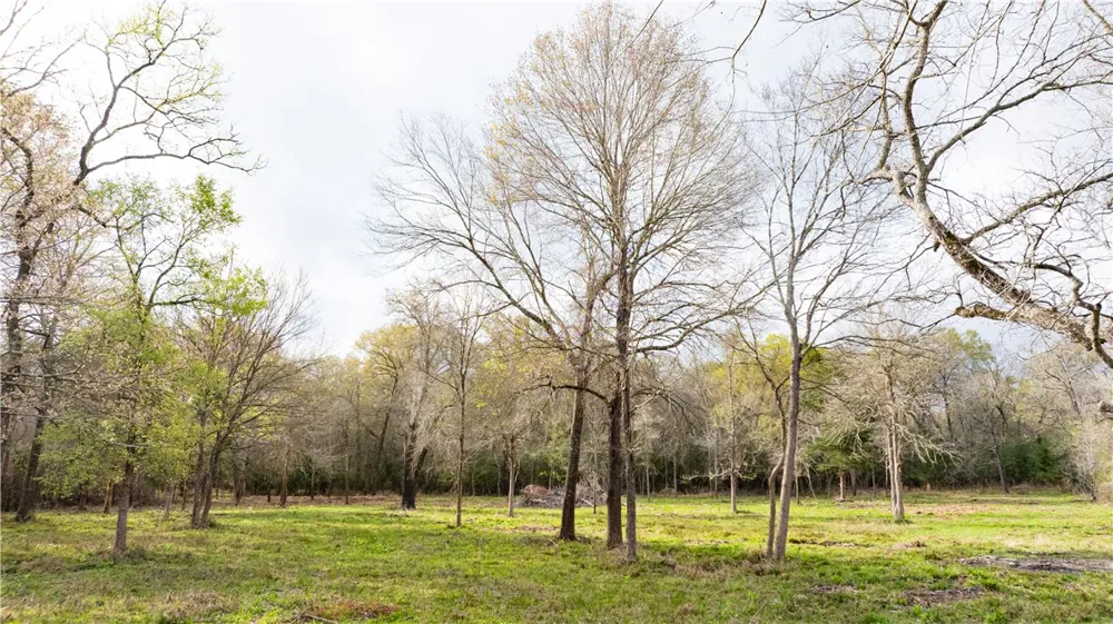 1602 Millican Meadows Circle College Station, TX 77845