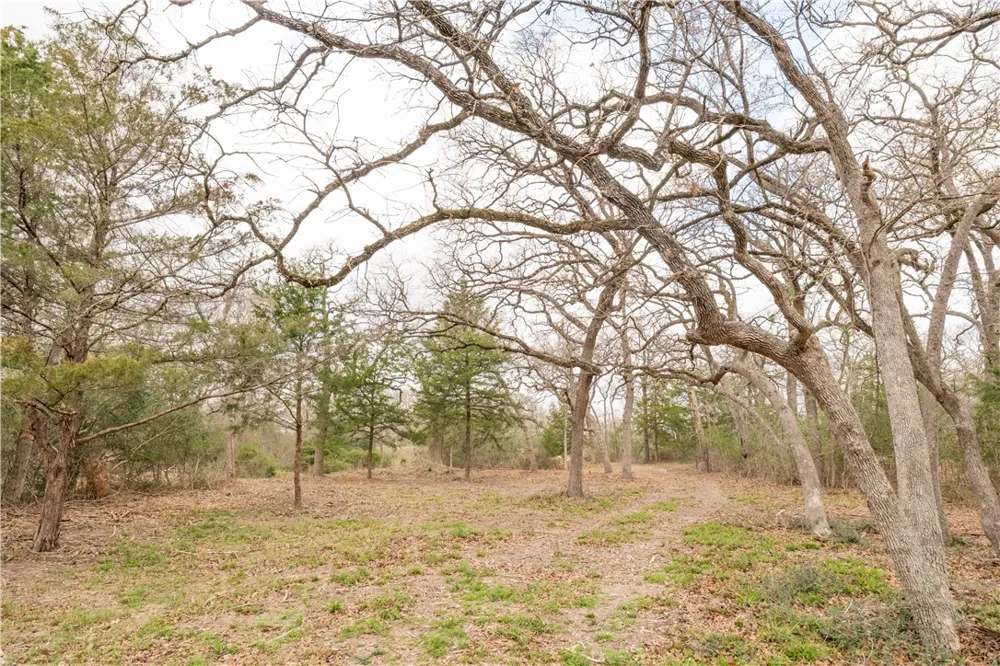 1602 Millican Meadows Circle College Station, TX 77845