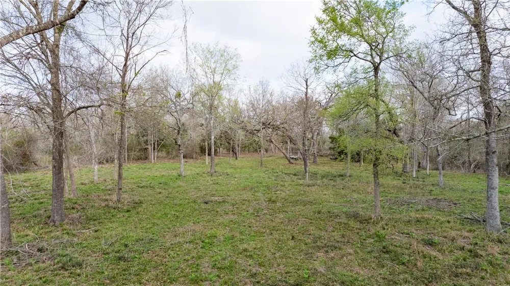 1602 Millican Meadows Circle College Station, TX 77845