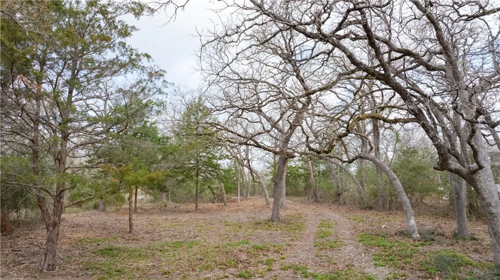 1602 Millican Meadows Circle College Station, TX 77845