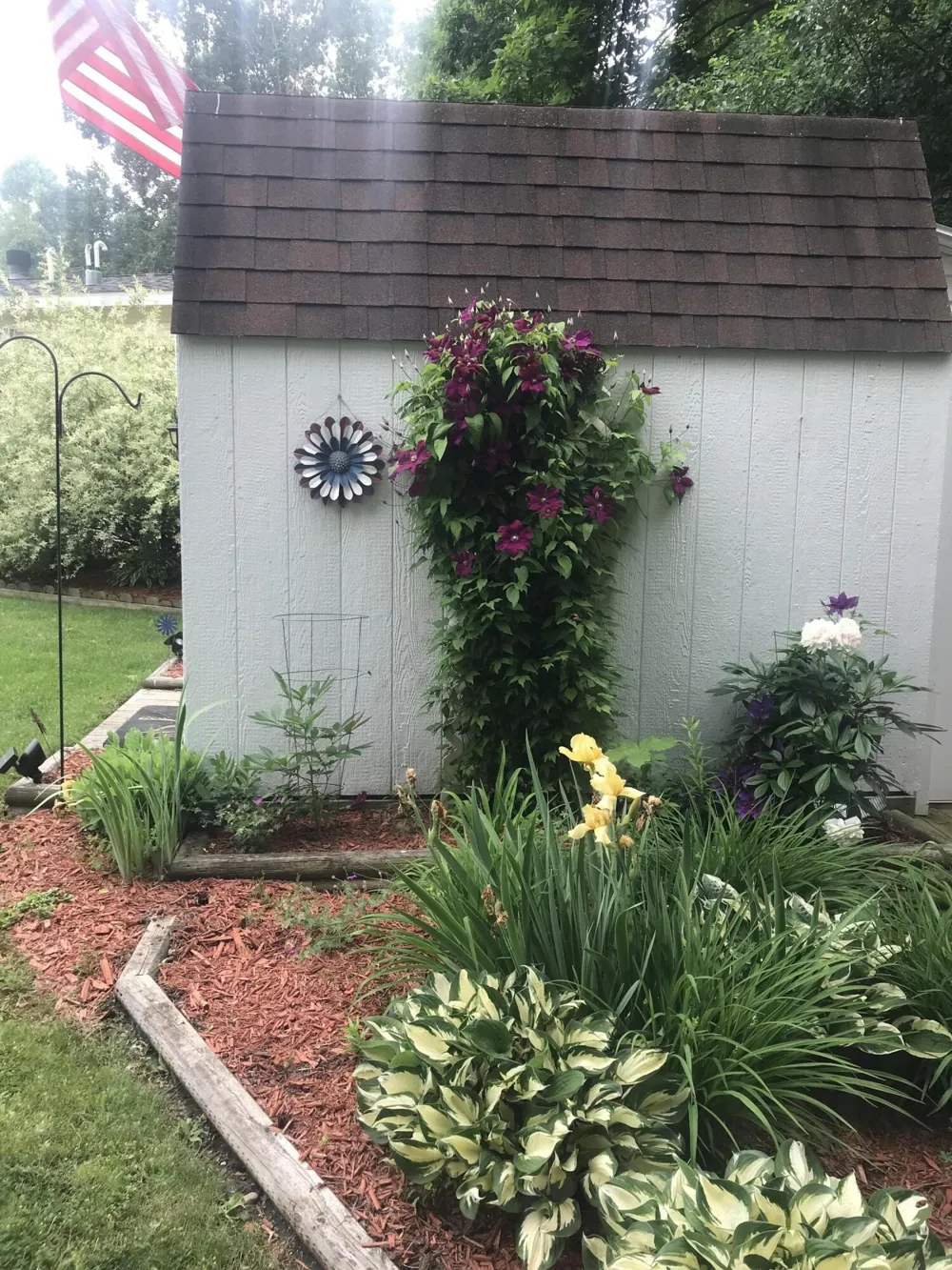 3363 Buckthorn Circle Blackman Charter Township, MI 49201