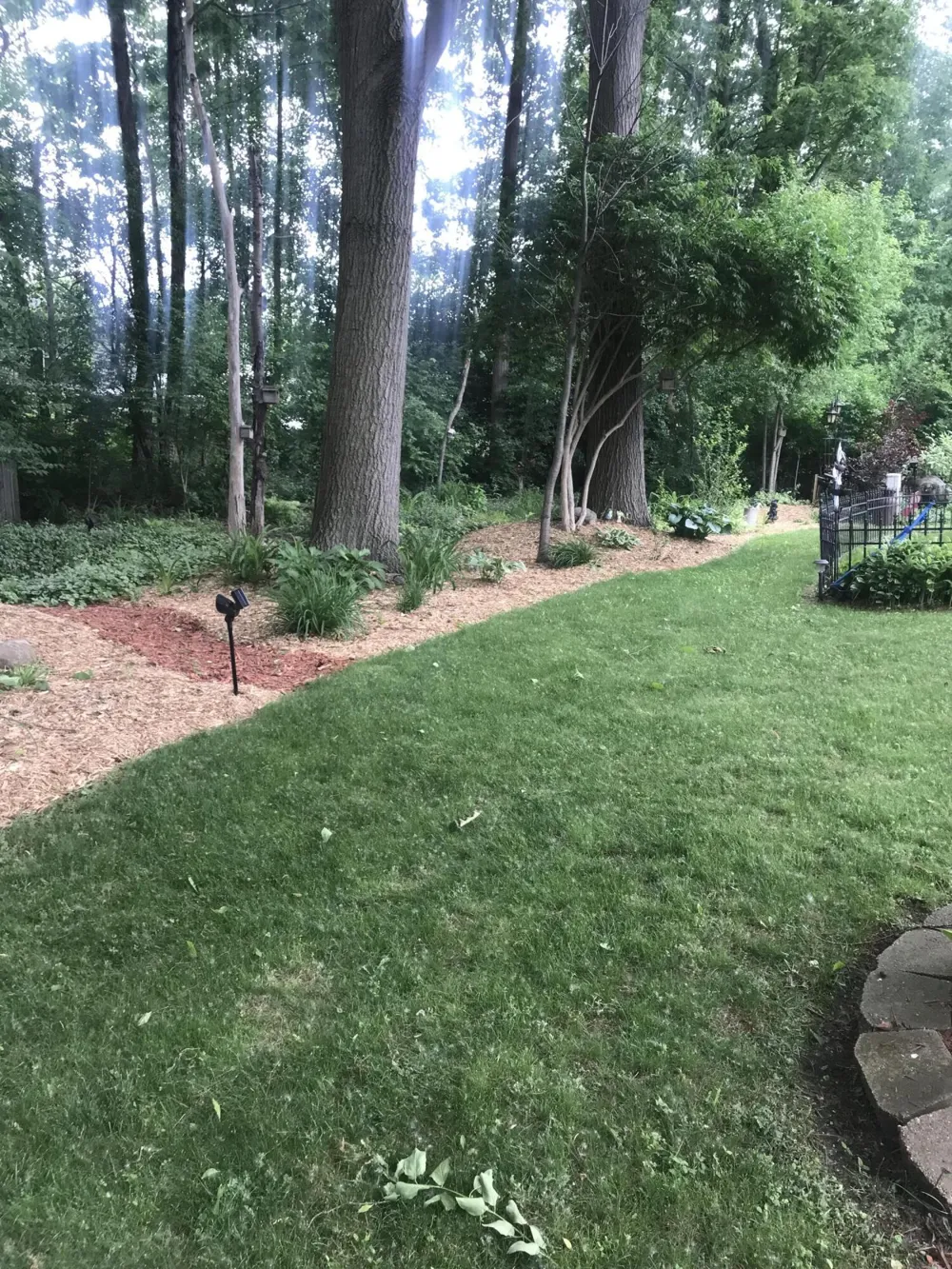 3363 Buckthorn Circle Blackman Charter Township, MI 49201