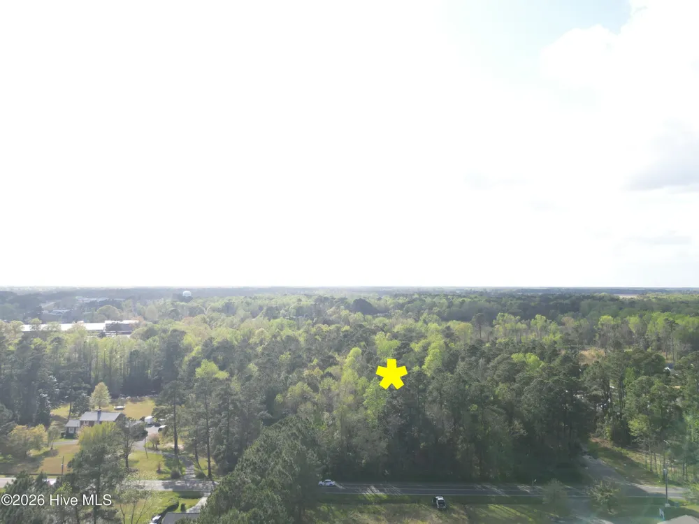 559 Timberly Lane Burgaw, NC 28425