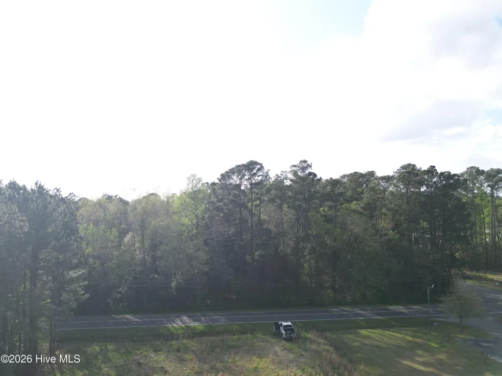 559 Timberly Lane Burgaw, NC 28425