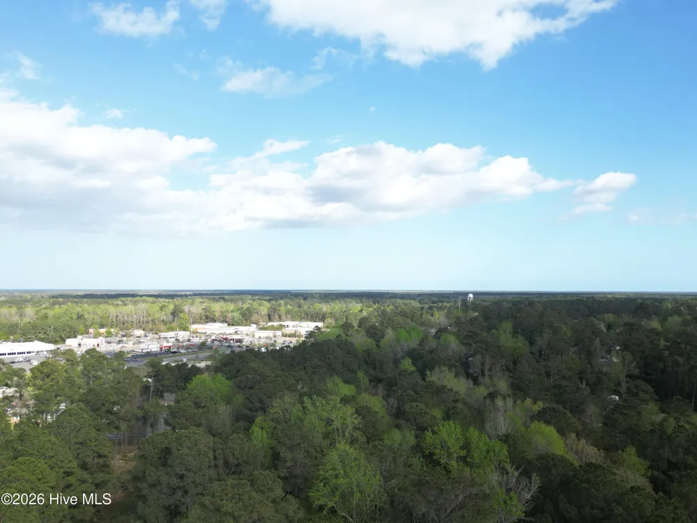 559 Timberly Lane Burgaw, NC 28425