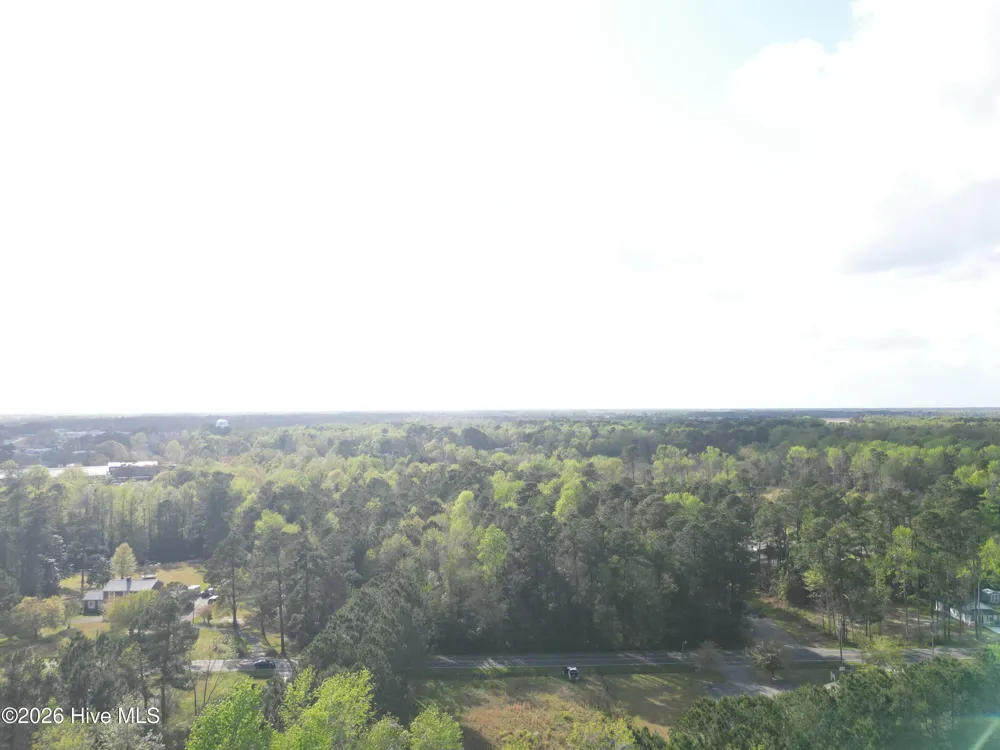 559 Timberly Lane Burgaw, NC 28425
