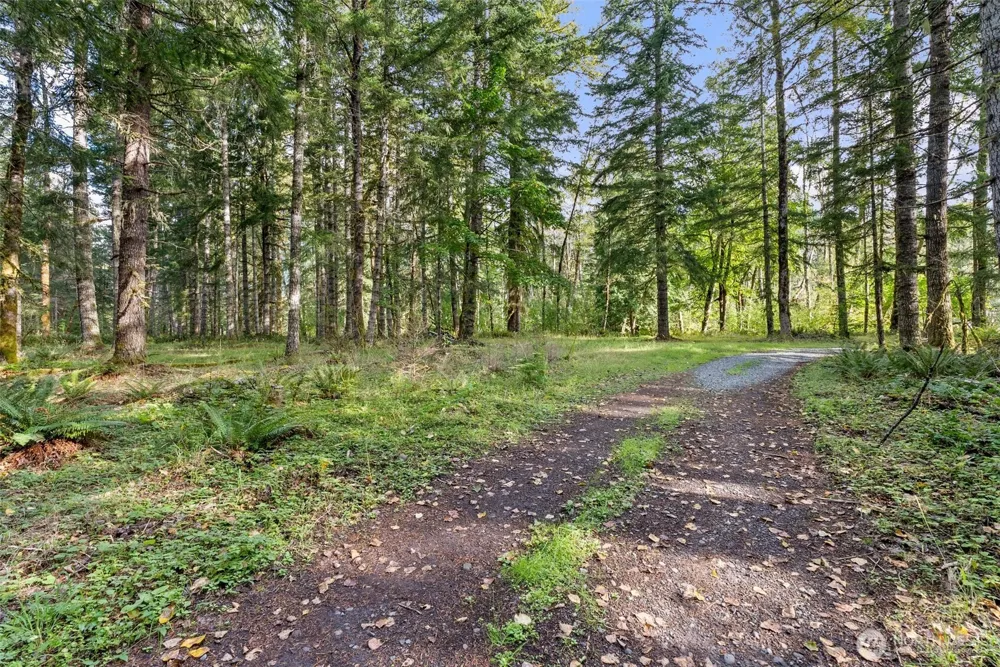 1 Skate Creek Road Morton, WA 98356