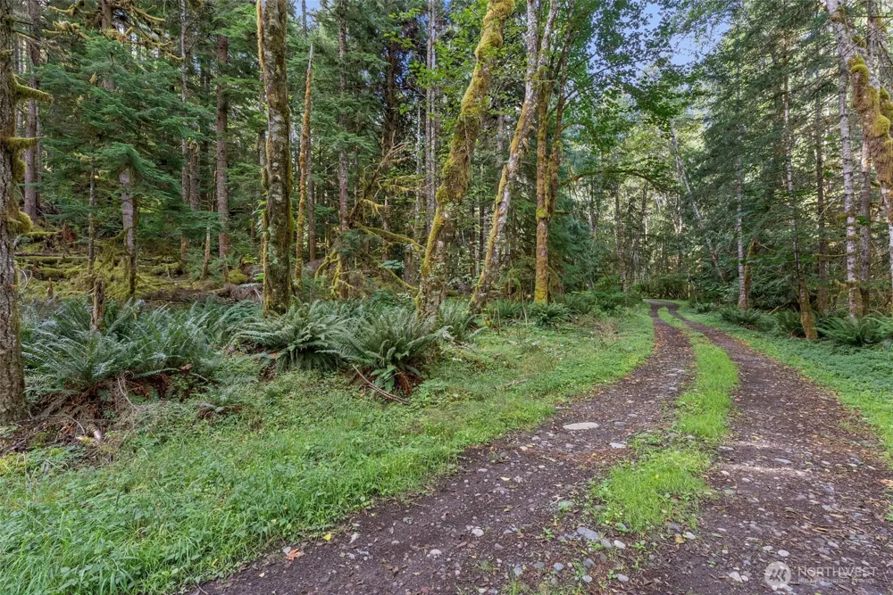 1 Skate Creek Road Morton, WA 98356