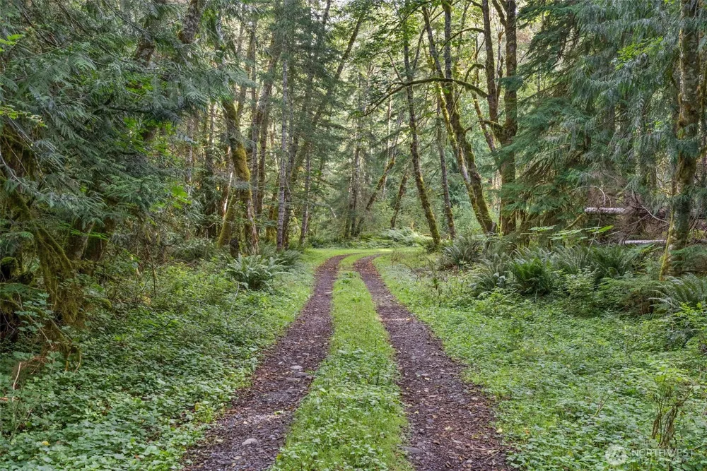 1 Skate Creek Road Morton, WA 98356