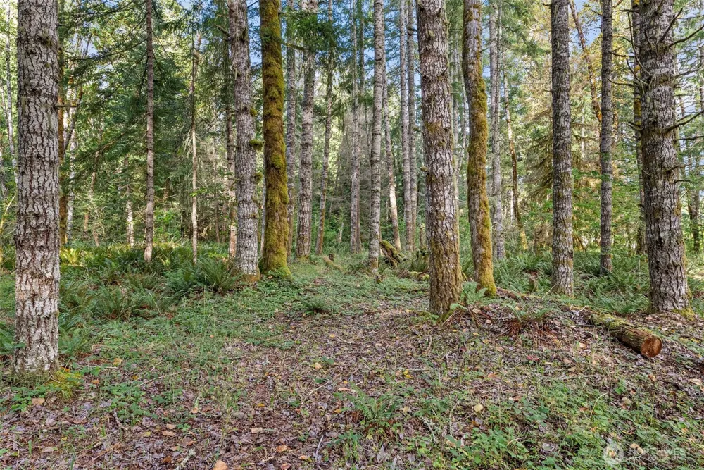 1 Skate Creek Road Morton, WA 98356