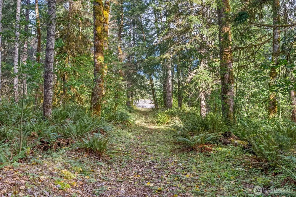1 Skate Creek Road Morton, WA 98356