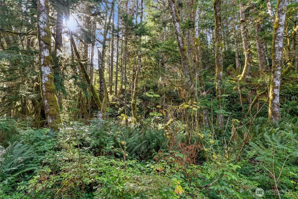 1 Skate Creek Road Morton, WA 98356