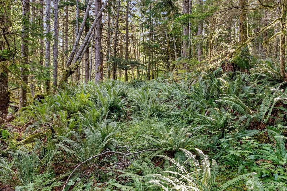 1 Skate Creek Road Morton, WA 98356