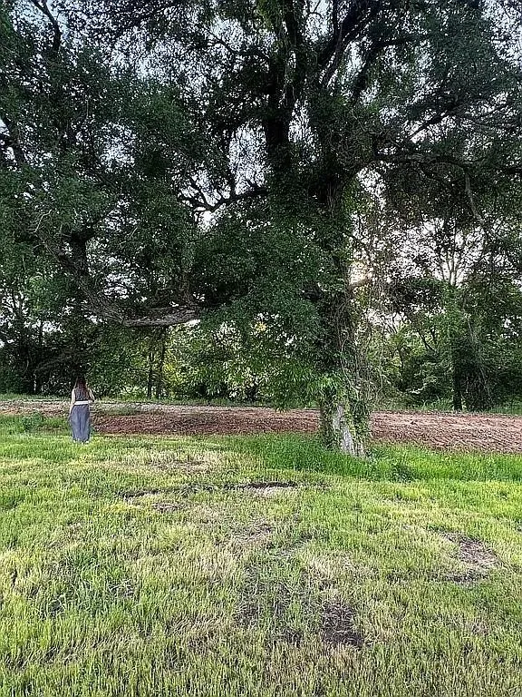 6 Sunrise Drive Dodd City, TX 75438