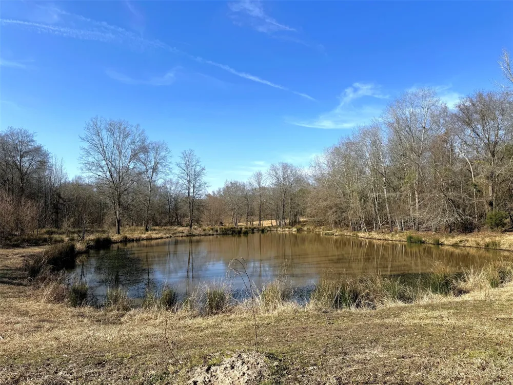 CR 3324 Pittsburg, TX 75686