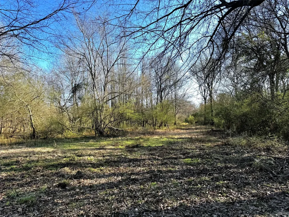 CR 3324 Pittsburg, TX 75686