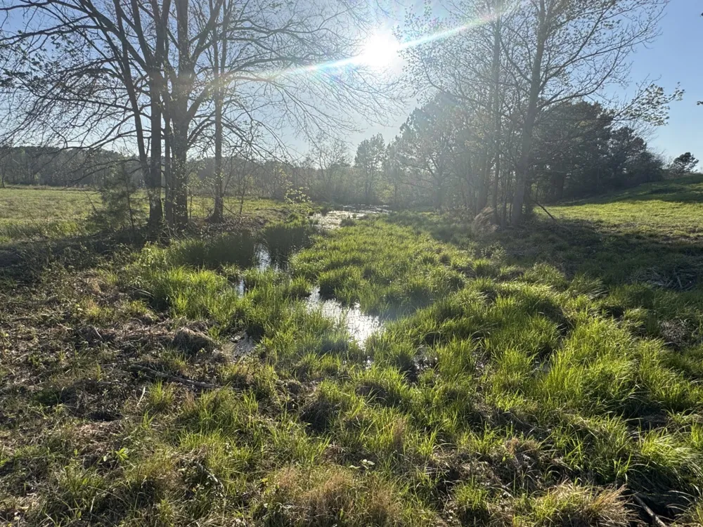 County Road 143 San Augustine, TX 75972