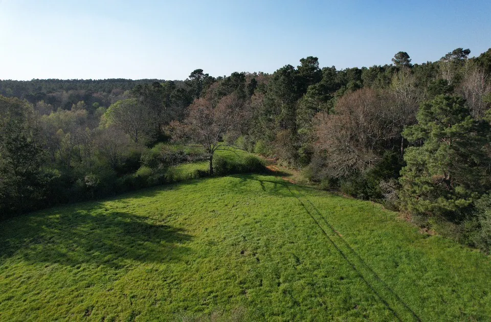 County Road 143 San Augustine, TX 75972