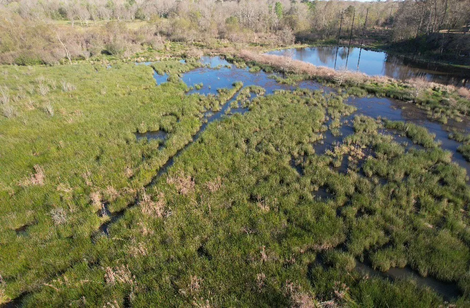County Road 143 San Augustine, TX 75972