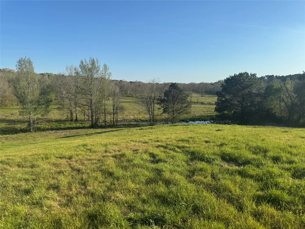 County Road 143 San Augustine, TX 75972
