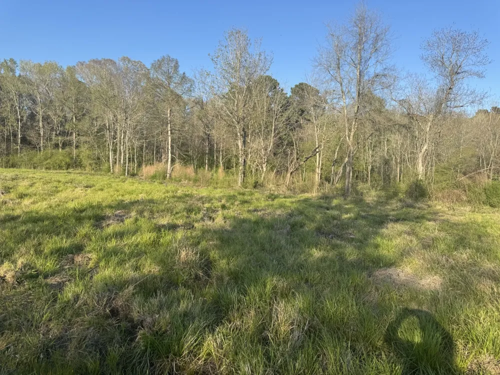 County Road 143 San Augustine, TX 75972