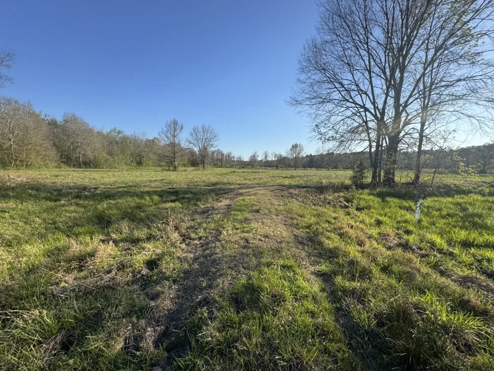 County Road 143 San Augustine, TX 75972