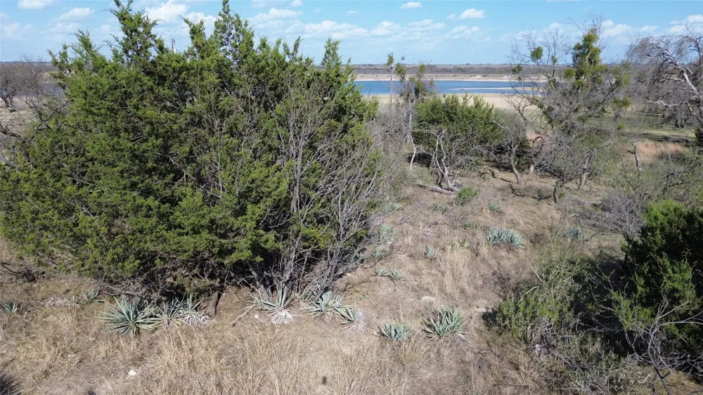 LAKE POINT ROAD Comanche, TX 76442