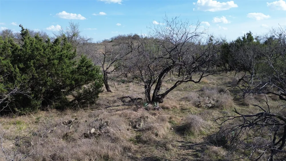 LAKE POINT ROAD Comanche, TX 76442