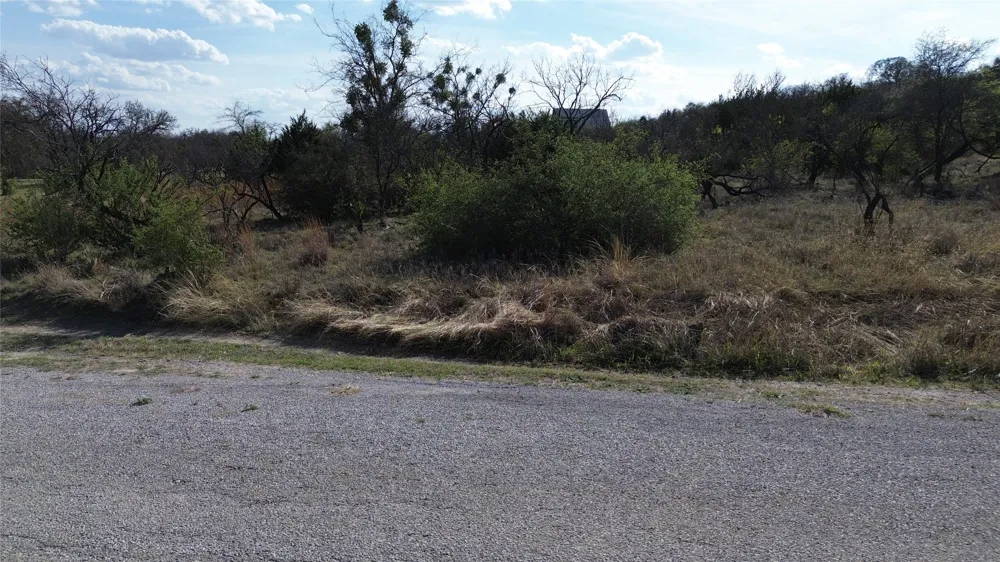 LAKE POINT ROAD Comanche, TX 76442