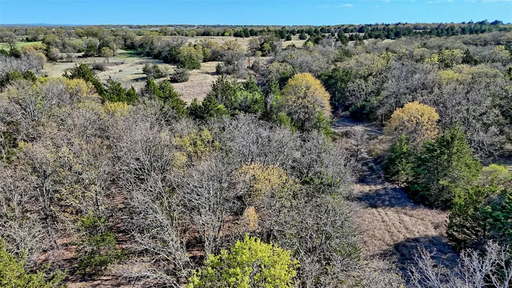 Cole Road Bowie, TX 76230