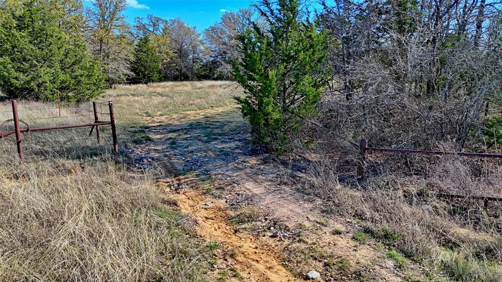 Cole Road Bowie, TX 76230
