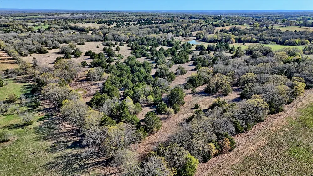 Cole Road Bowie, TX 76230