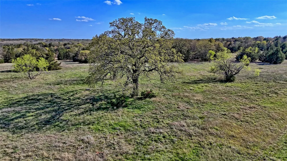Cole Road Bowie, TX 76230