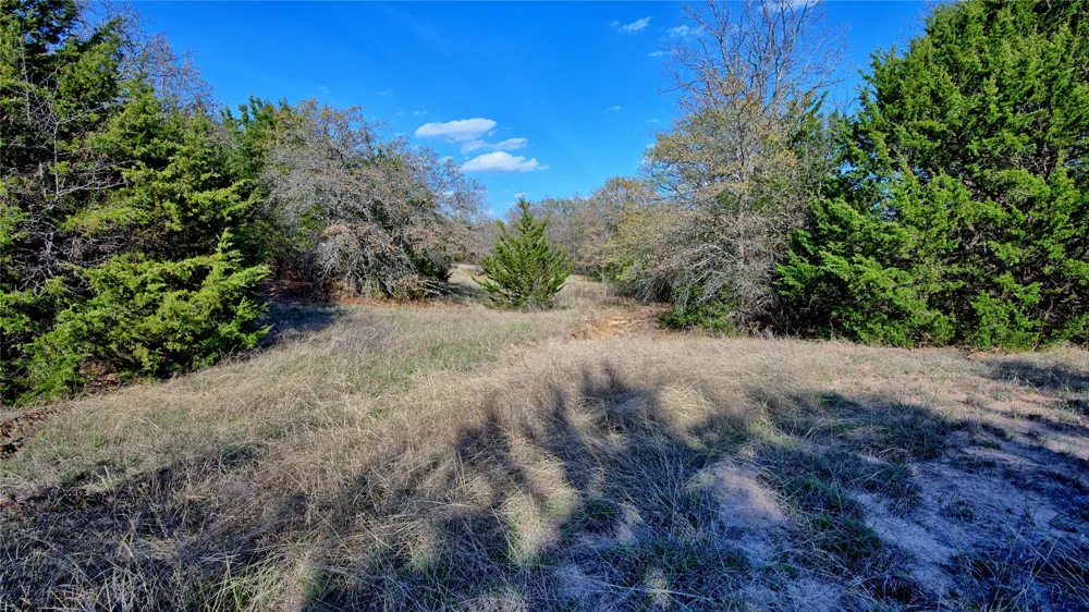 Cole Road Bowie, TX 76230