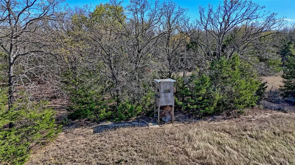 Cole Road Bowie, TX 76230