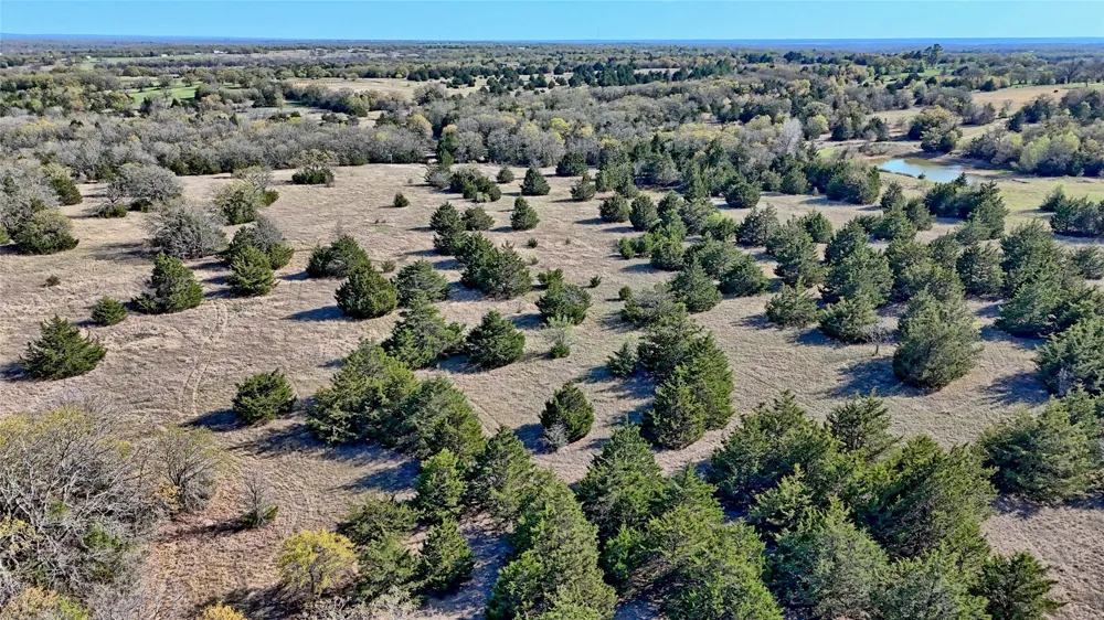 Cole Road Bowie, TX 76230