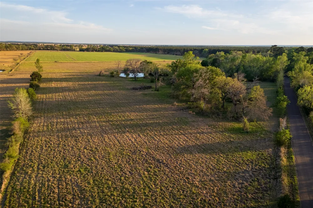 County Rd 117 Elkhart, TX 75839