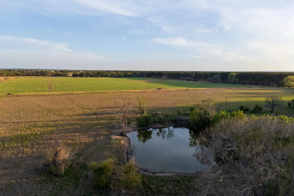County Rd 117 Elkhart, TX 75839