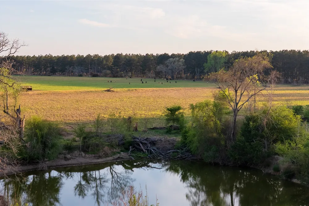 County Rd 117 Elkhart, TX 75839